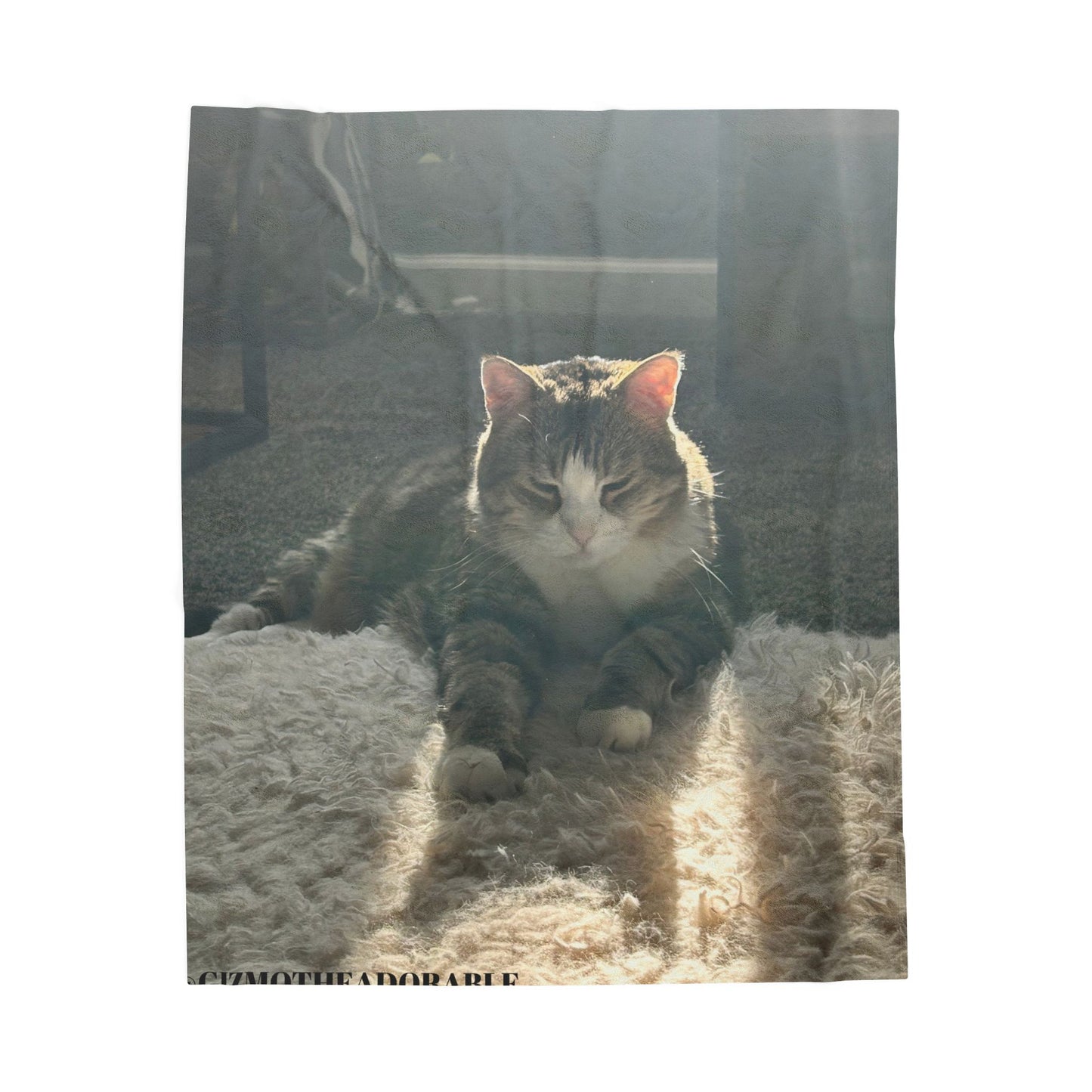 Velveteen Plush Blanket for Cozy Comfort, Cat Lover Gift, Soft Home Decor, Snuggle Blanket, Warm Throw for Winter