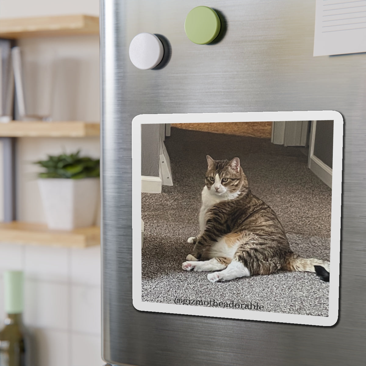 Die-Cut Magnets
