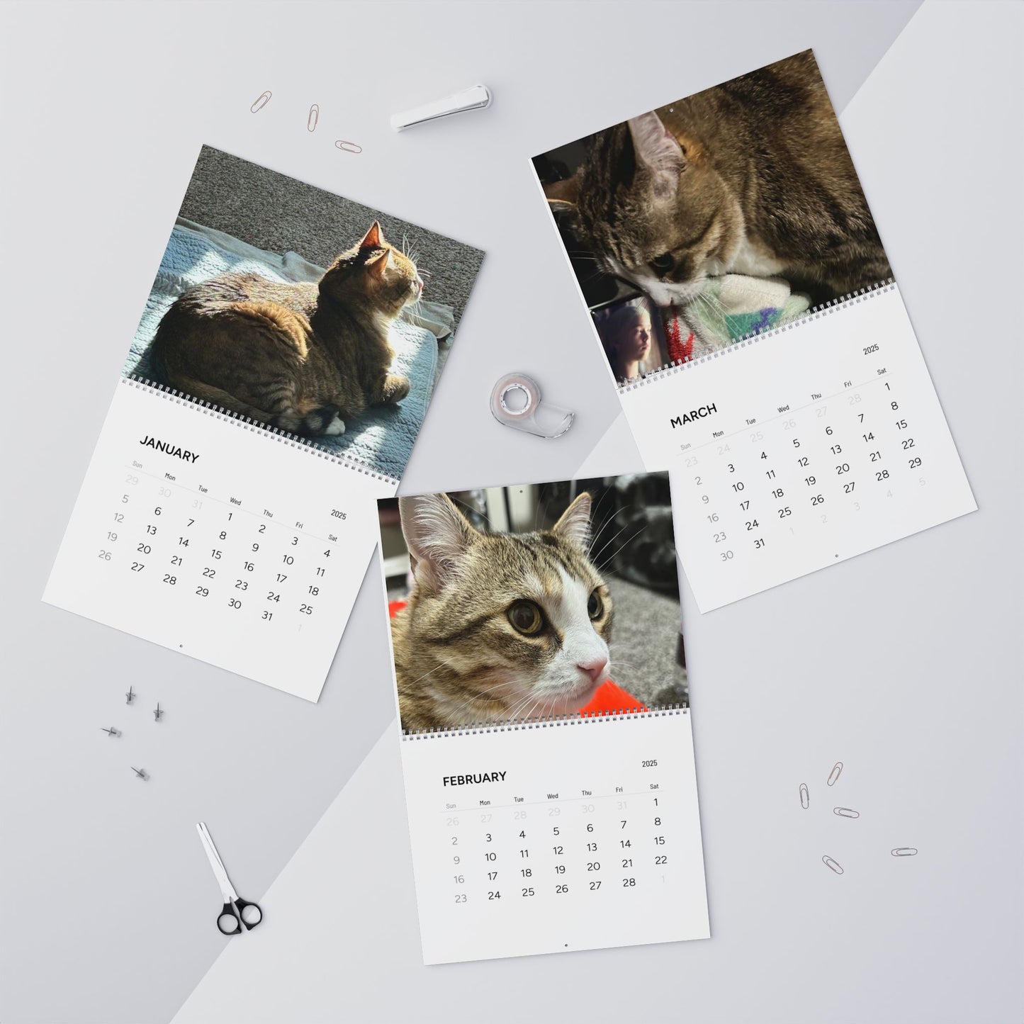 Wall Calendars (2025)
