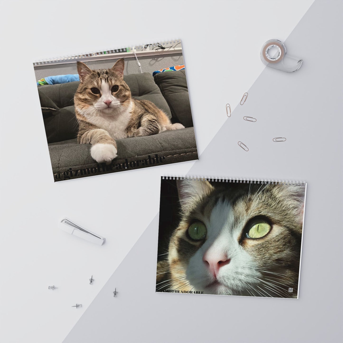 Wall Calendars (2025)
