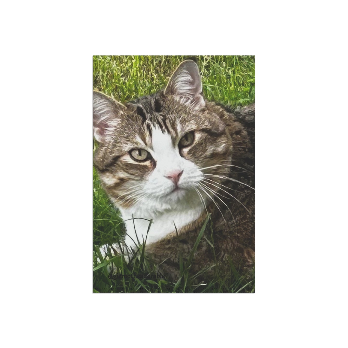 Custom Cat Garden Banner, Cute Pet Decor, Personalized Yard Flag, Outdoor Cat Lovers Gift, Home and Garden Decoration