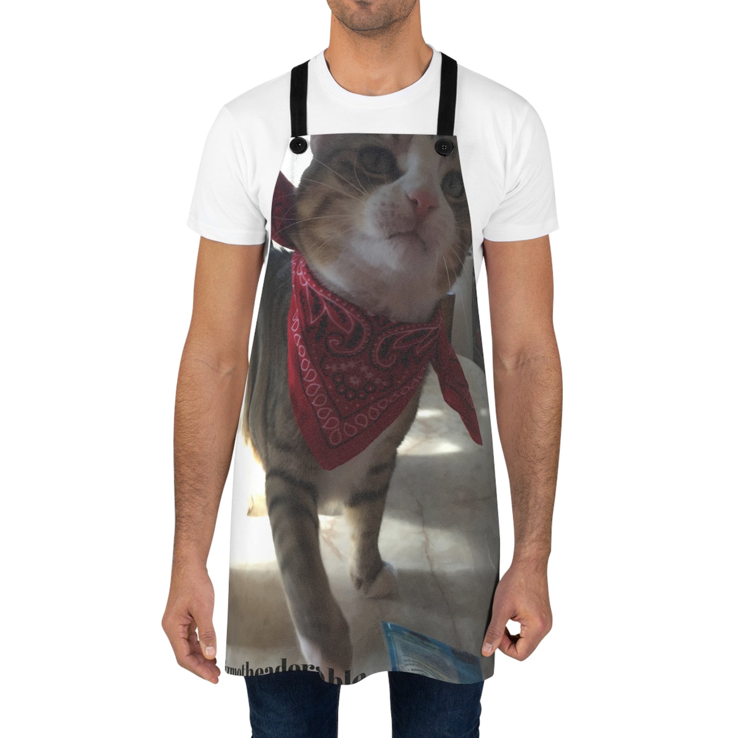 Apron (AOP)