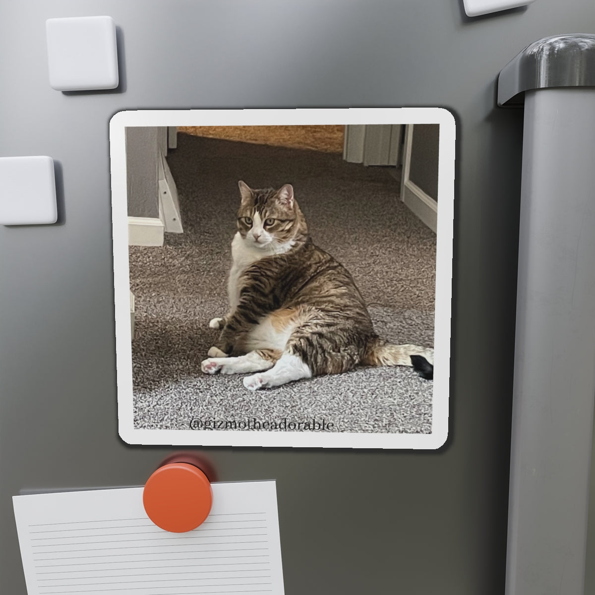 Die-Cut Magnets