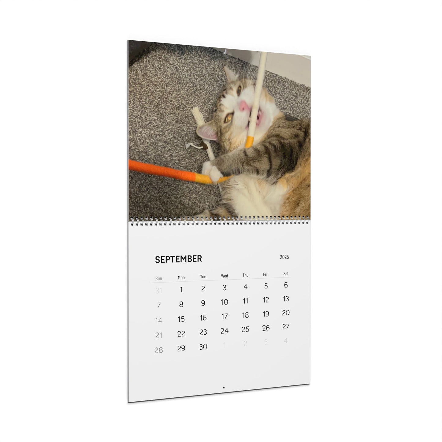 Wall Calendars (2025)
