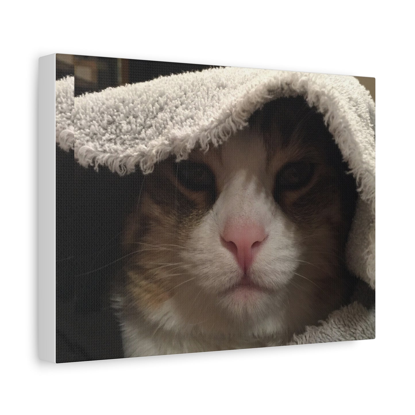 Canvas Wall Art, Cozy Cat Portrait, Pet Lover Decor, Home Wall Decor, Animal Art, Gift for Cat Owners, Cat Lover Gift