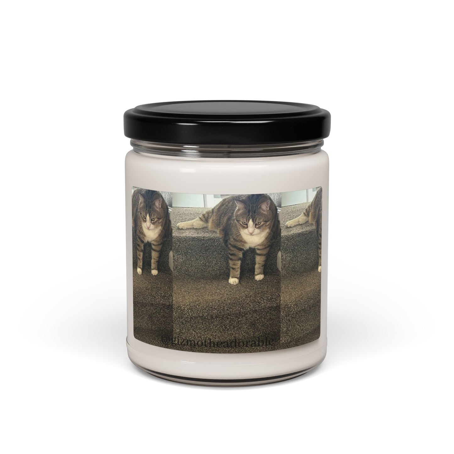 Scented Soy Candle, 9oz