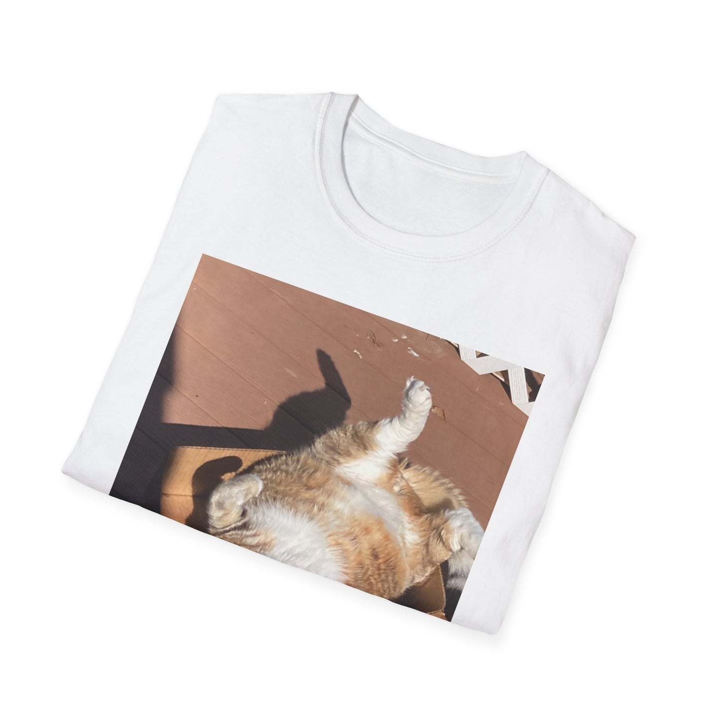 Unisex Softstyle T-Shirt