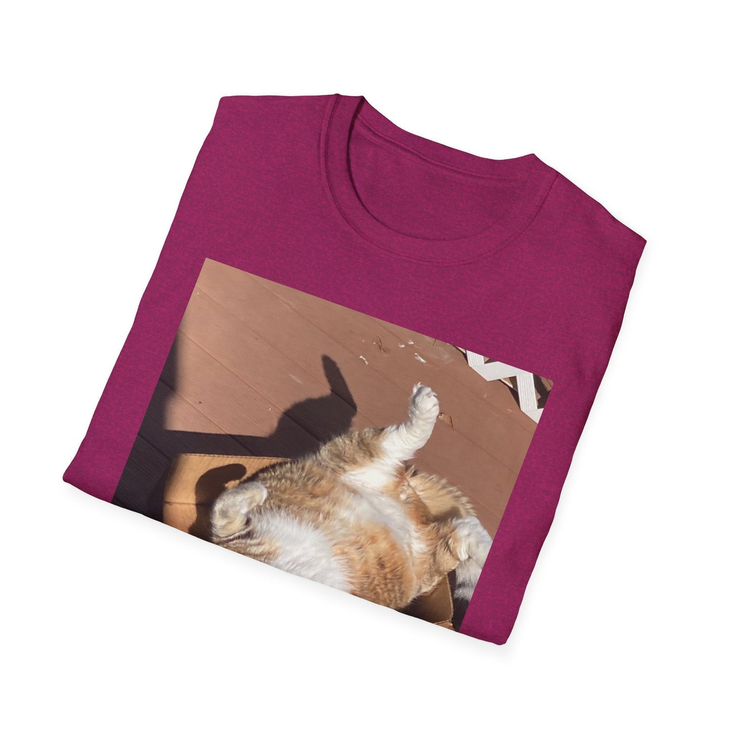Unisex Softstyle T-Shirt