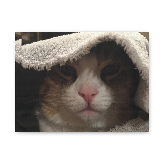 Canvas Wall Art, Cozy Cat Portrait, Pet Lover Decor, Home Wall Decor, Animal Art, Gift for Cat Owners, Cat Lover Gift