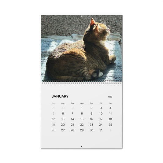 Wall Calendars (2025)
