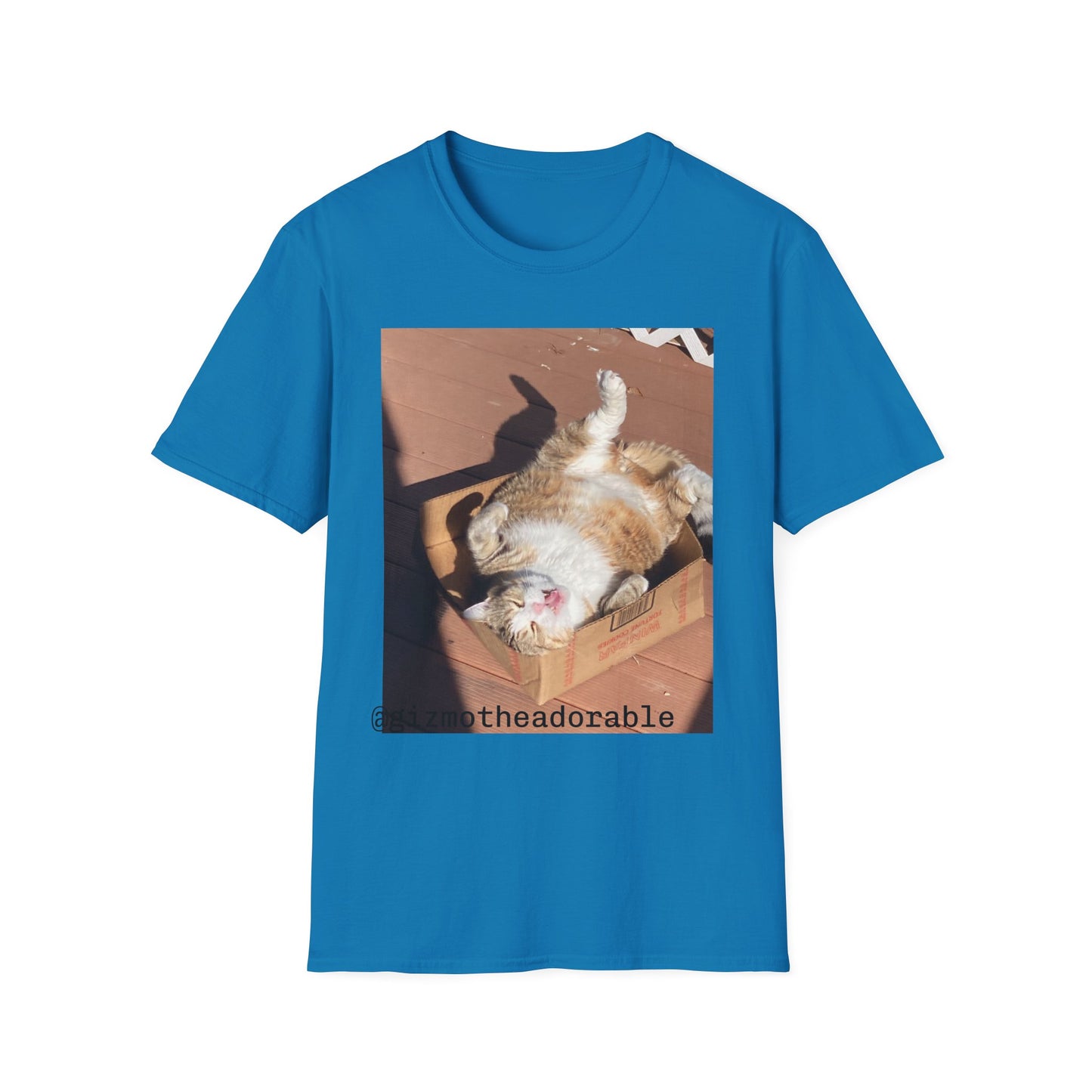 Unisex Softstyle T-Shirt