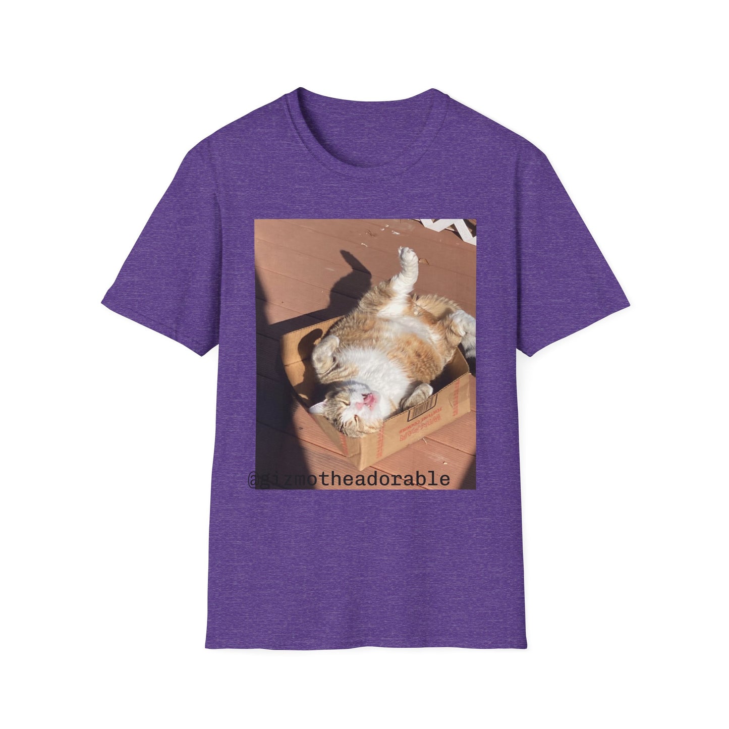 Unisex Softstyle T-Shirt