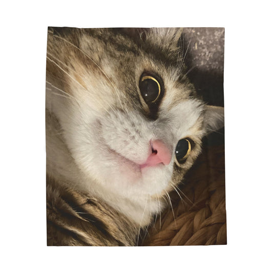 Cozy Cat Velveteen Plush Blanket, Cat Lover Gift, Soft Warm Throw, Pet Decor, Perfect for Home, Housewarming, Birthdays
