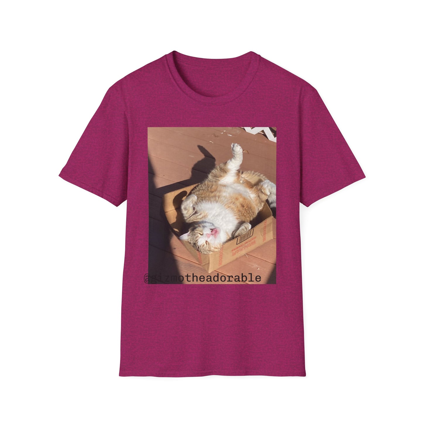Unisex Softstyle T-Shirt
