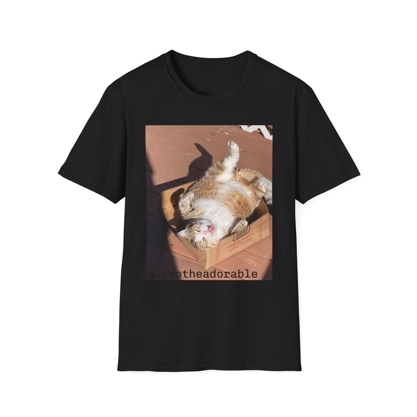 Unisex Softstyle T-Shirt